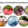 Сальмонеллёз и его профилактика