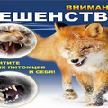 Осторожно! Бешенство! 