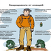 Профилактика клещевых инфекций