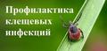 Нажмите чтобы открыть