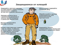 Нажмите чтобы открыть