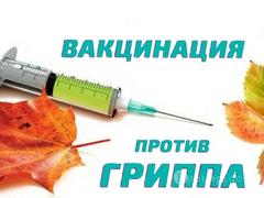 Вакцинопрофилактика гриппа, качество и безопасность применяемых противогриппозных вакцин