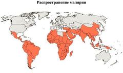 Маляриогенная обстановка и химиопрофилактика в странах Азии, Африки, Центральной и Южной Америки