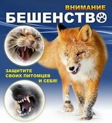 Профилактика бешенства!