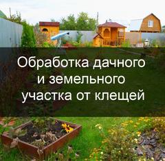 Обработка приусадебных участков от клещей