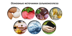 Сальмонеллёз и его профилактика