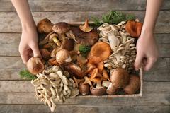памятка «Грибы - вкусно, полезно, но и.. опасно»