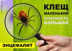 Клещи опасны!