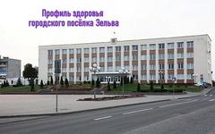 Профиль здоровья городского посёлка Зельва