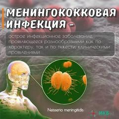 Менингококковая инфекция