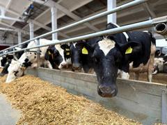 О результатах месячника безопасности труда 