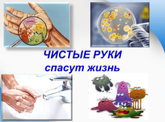 Профилактика болезней «грязных рук»
