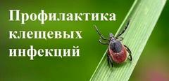 Профилактика клещевых инфекций