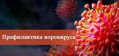 Профилактика норовирусной инфекции