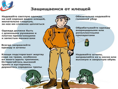 Профилактика клещевых инфекций