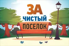 О санитарной очистке населенных пунктов Зельвенского района